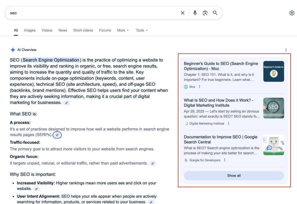 Google SGE (AI Overview)
